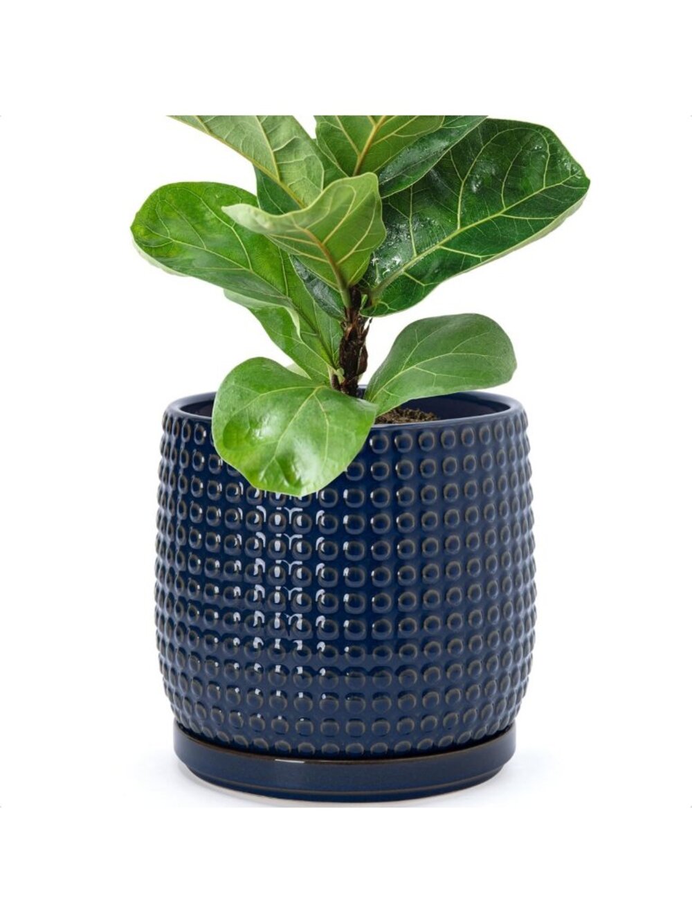 Beaded Ceramic Plant Pot with Saucer, 8" Midnight Blue, Home Decor, Indoor